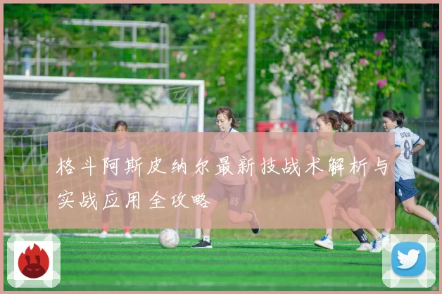 格斗阿斯皮纳尔最新技战术解析与实战应用全攻略