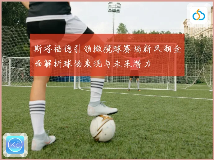 斯塔福德引领橄榄球赛场新风潮全面解析球场表现与未来潜力