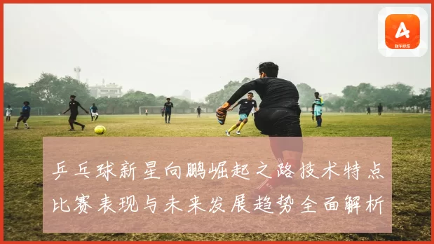 乒乓球新星向鹏崛起之路技术特点比赛表现与未来发展趋势全面解析