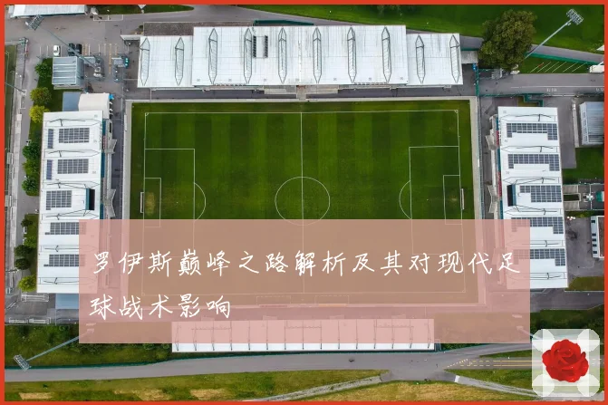 罗伊斯巅峰之路解析及其对现代足球战术影响